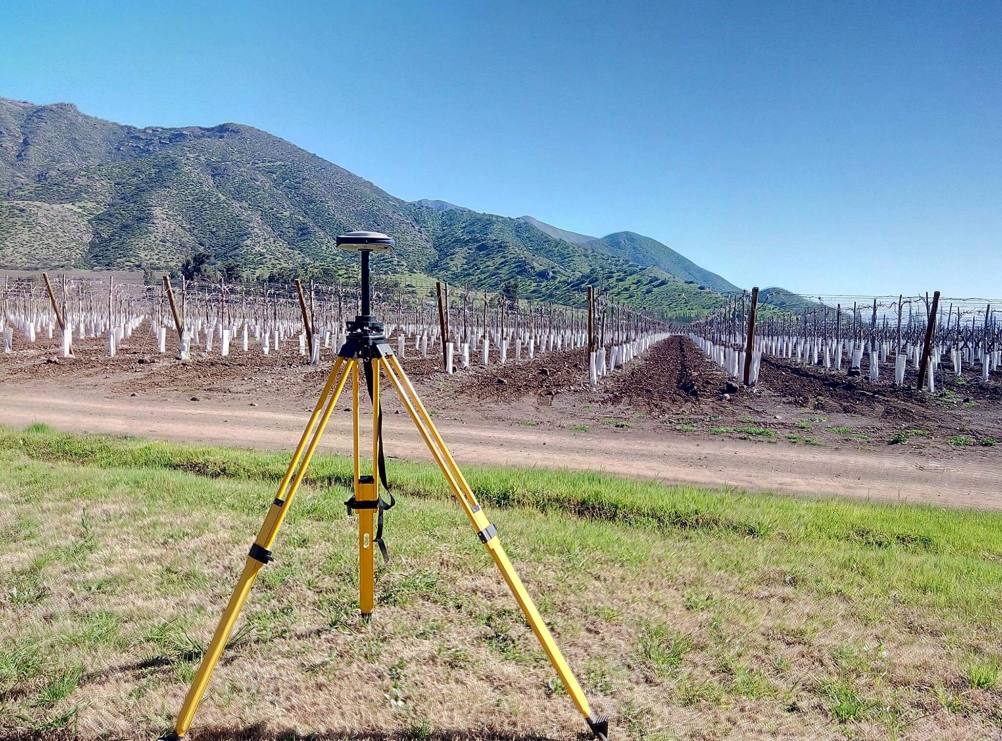 Levantamiento — Viñedos